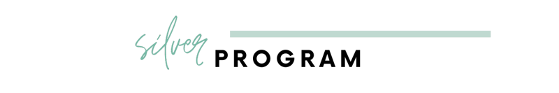 Silver Program
