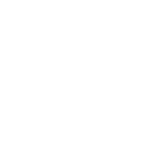 brain subtypes-1