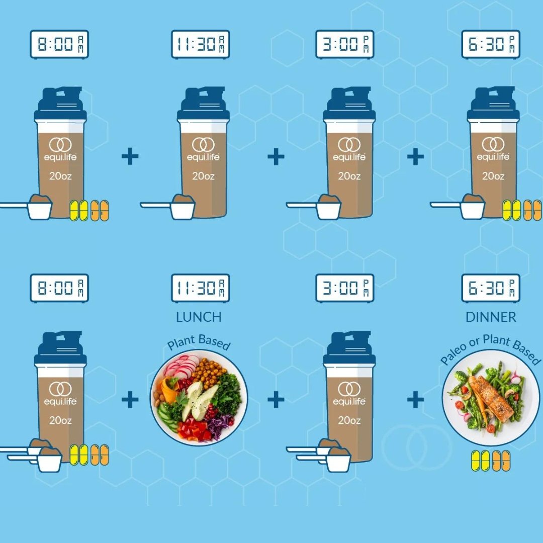 foundational detox daily schedule