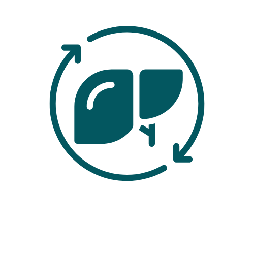 liver detox-1