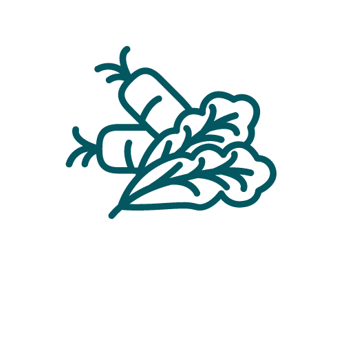 nutritional support-1