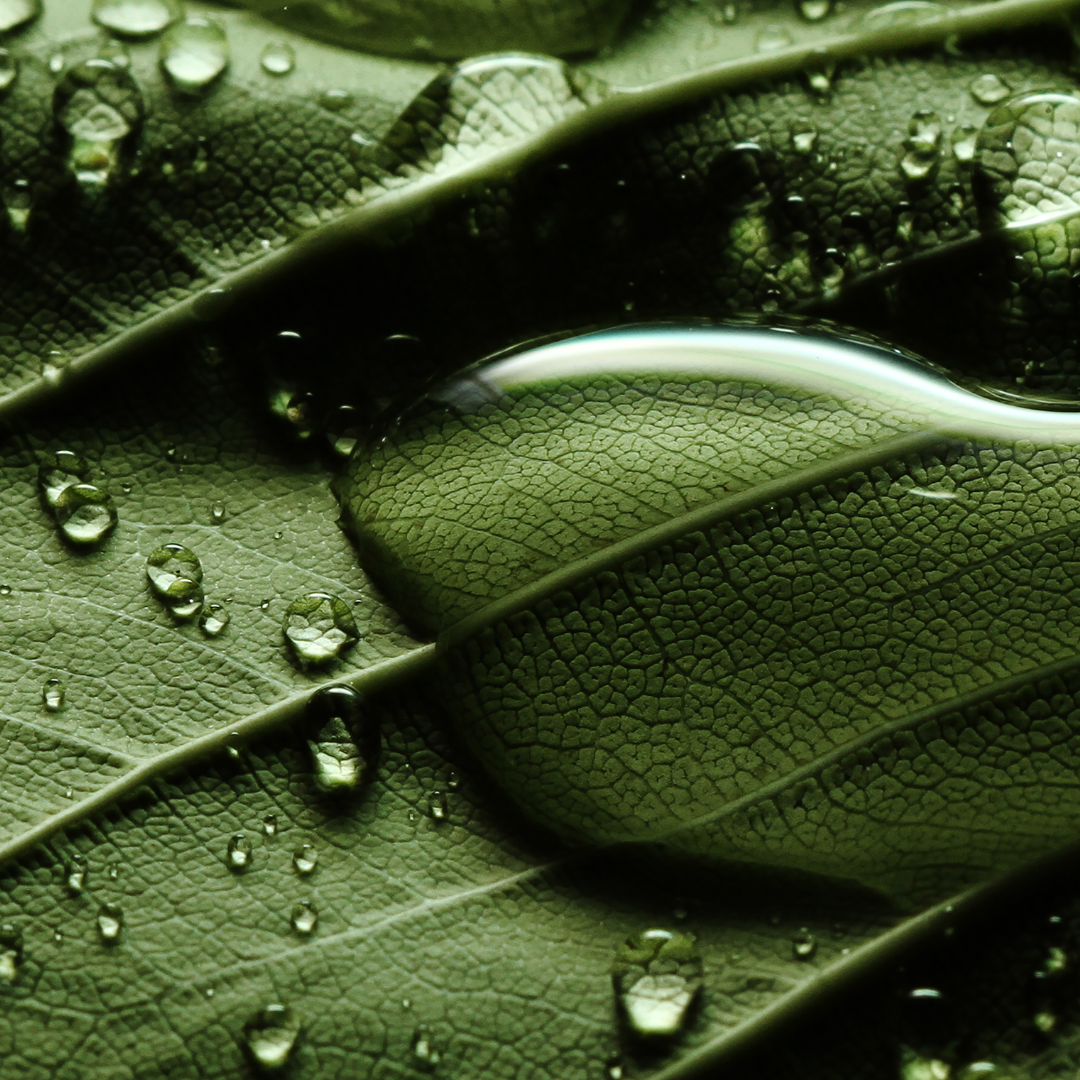 Toxin-Free Facial
