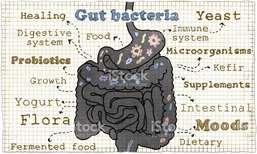 Leaky Gut