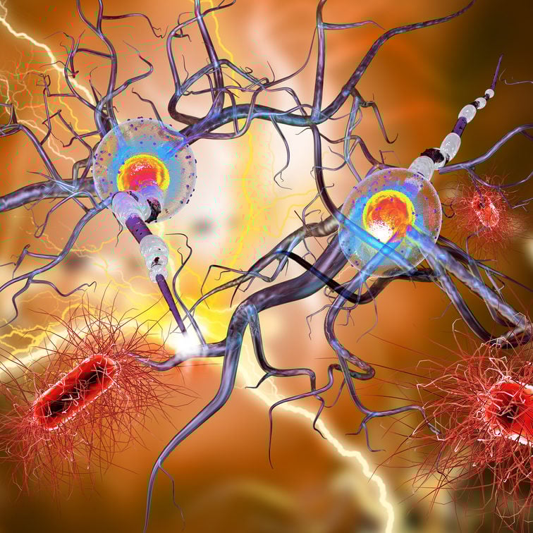 Autoimmune Disease